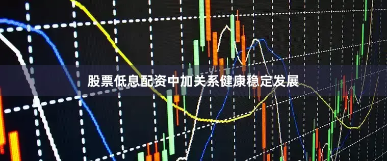 股票低息配资中加关系健康稳定发展