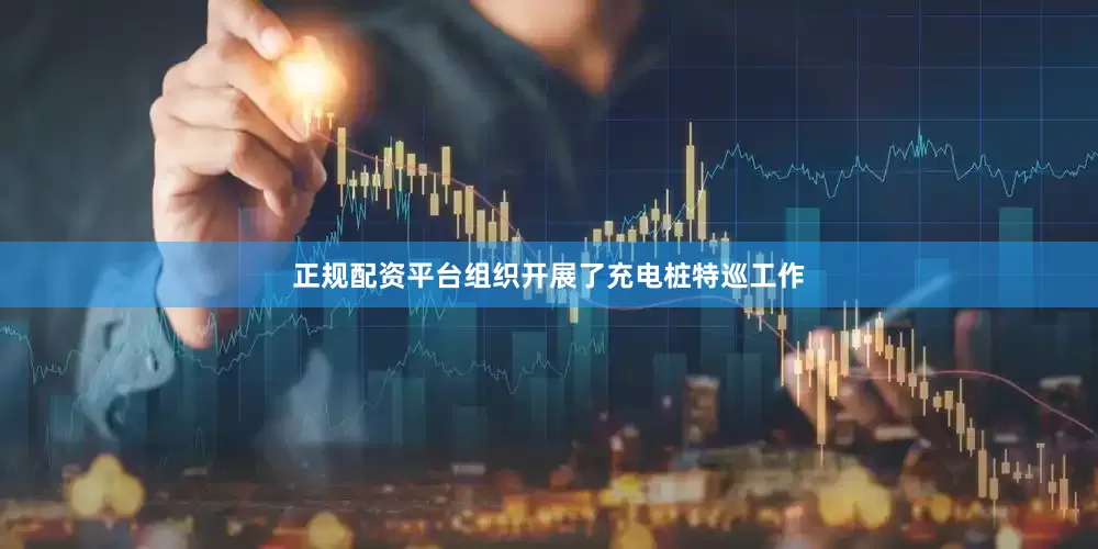 正规配资平台组织开展了充电桩特巡工作