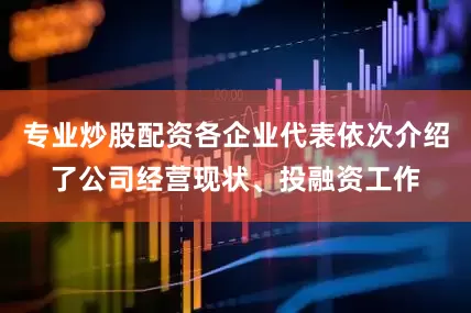 专业炒股配资各企业代表依次介绍了公司经营现状、投融资工作